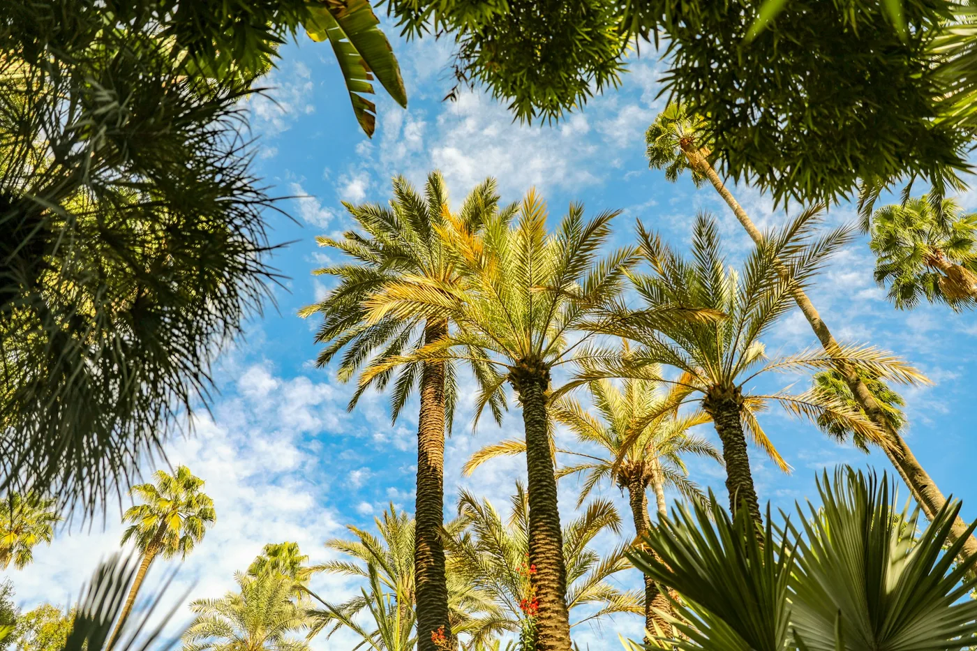 Voyager seul à Marrakech — ruelles de la médina